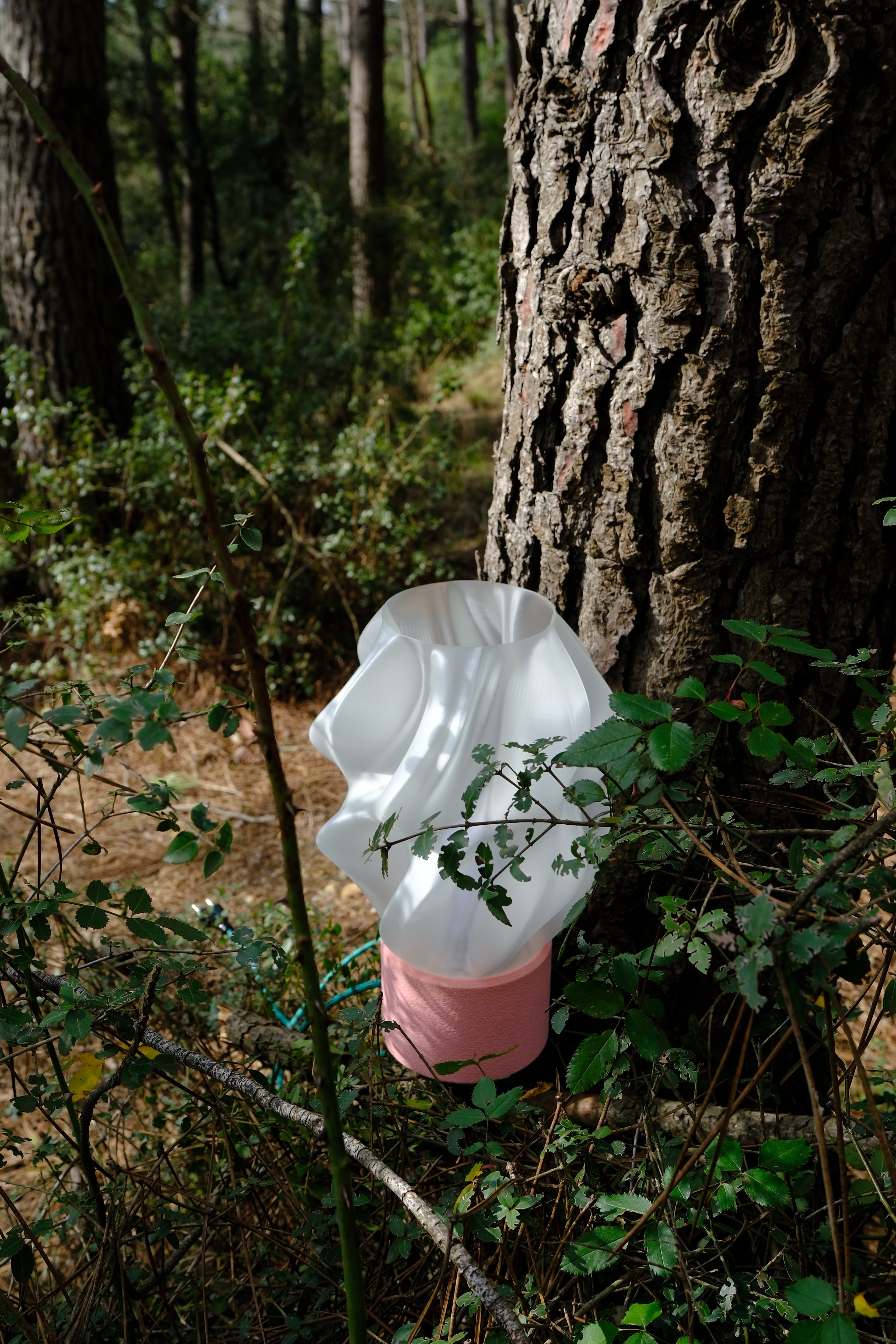 FLUID / CLEAR–ROSE