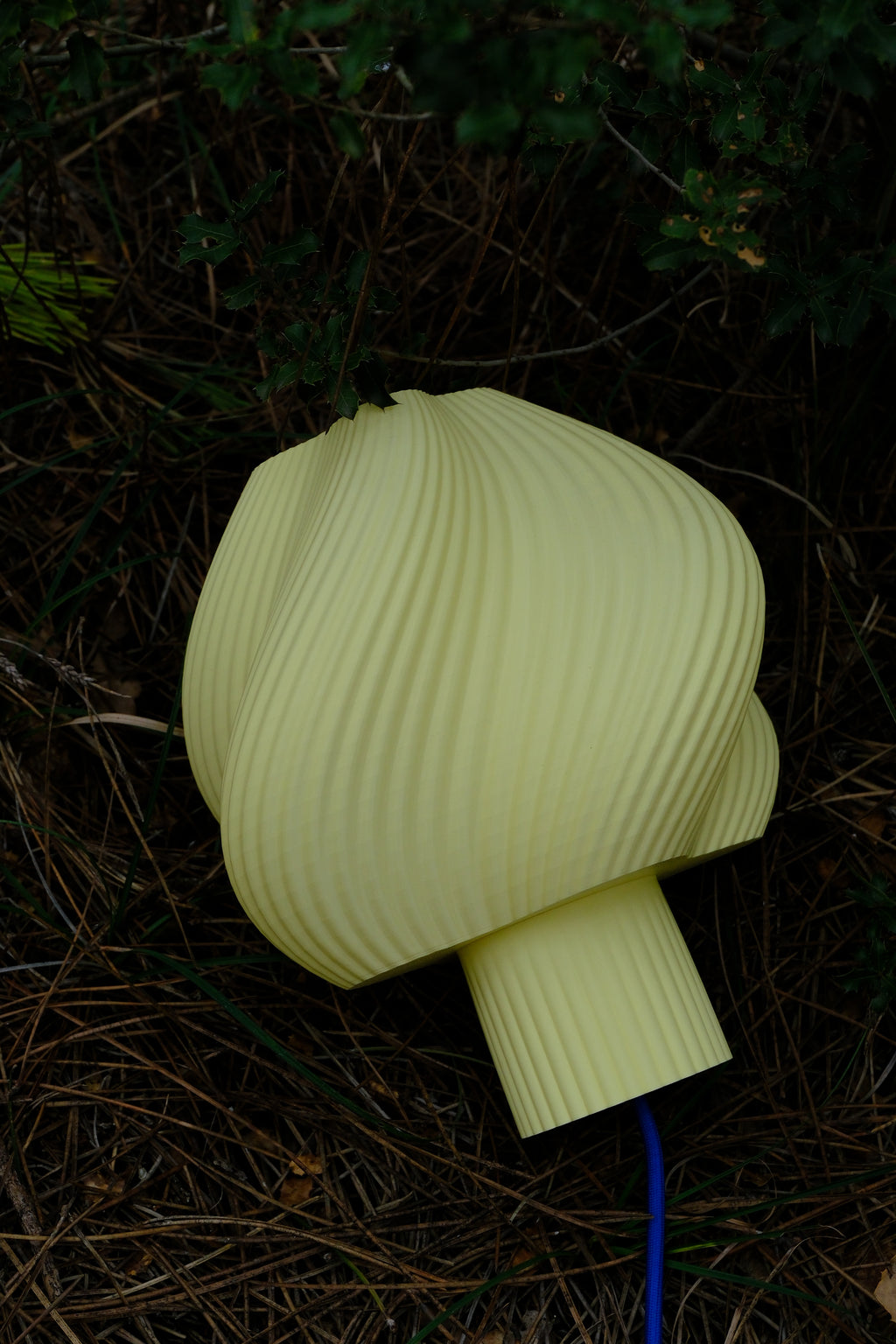 POP / BUTTER