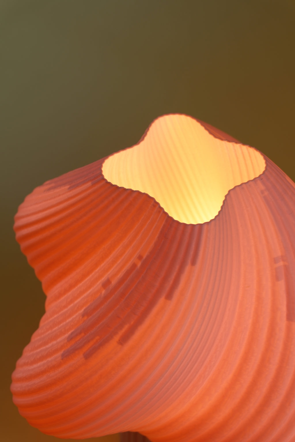 POP / ROSE