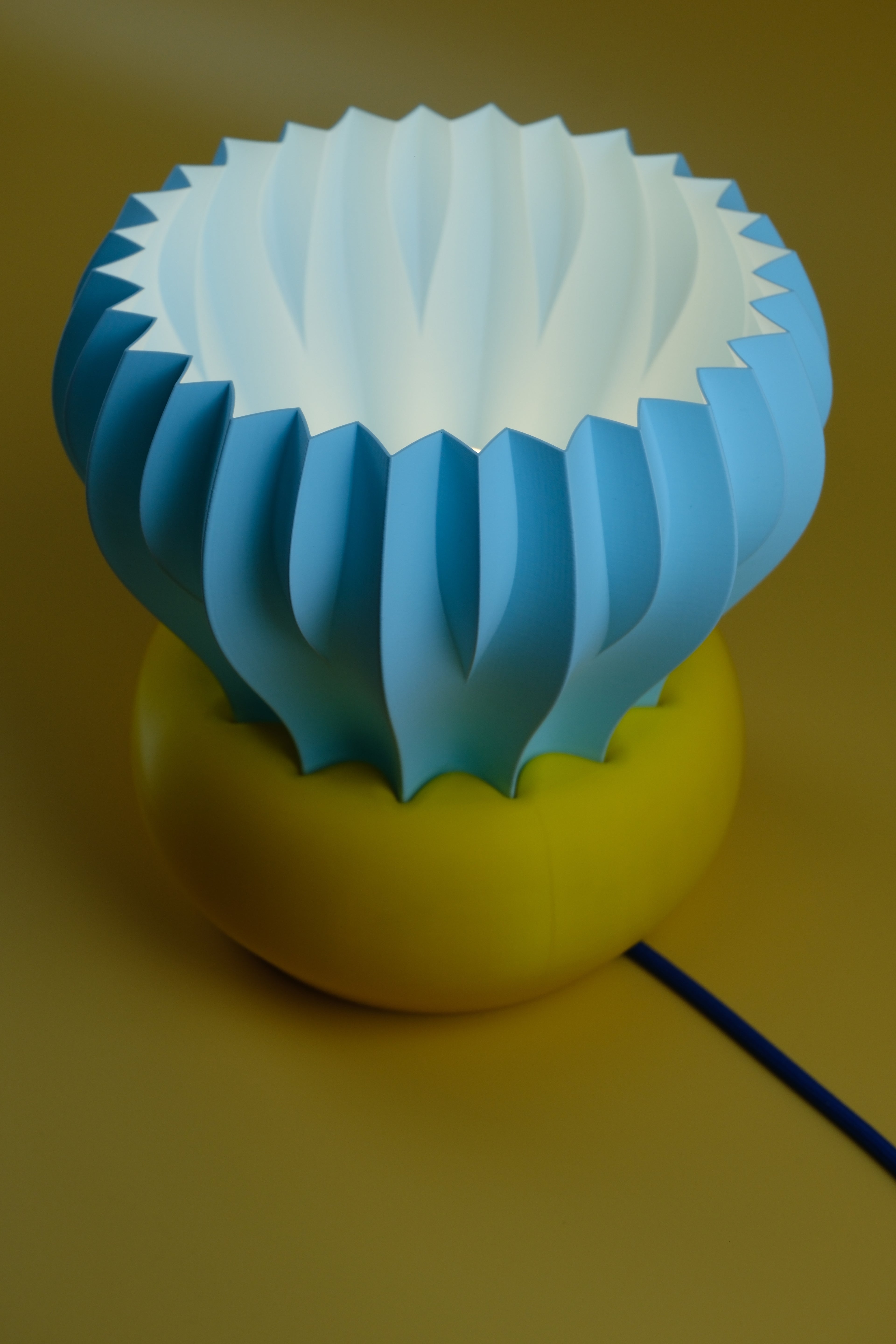 BLOOM / SKYDAISY